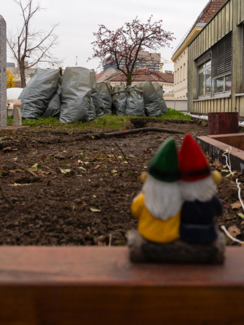 Zwei Gartenzwerge sitzen Arm in Arm und blicken auf unbebaute Erde.
