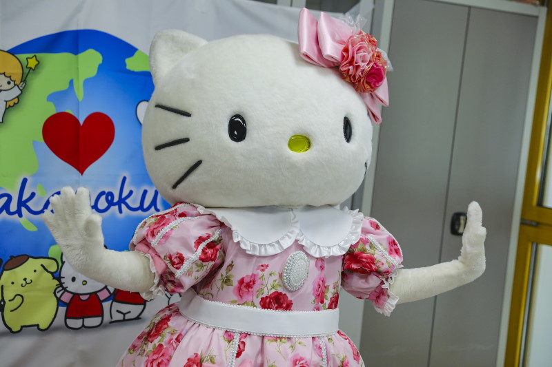 Person verkleidet in Hello Kitty Kostüm.